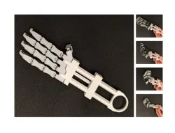 Robotic Skeleton Hand