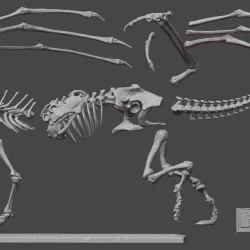Skeleton Desk Drake