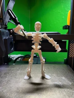  skeleton kit if I get 500 likes I will add more accessories 