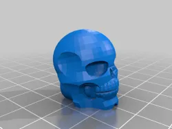 Skull