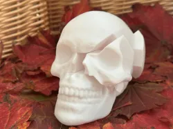 Skull Puzzle