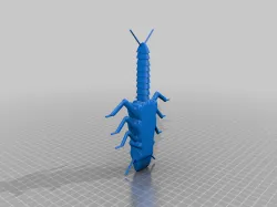 Stonefly