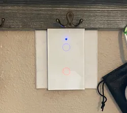 Ali Express, Smart life, wifi switch, outlet cover for dual gang box, 