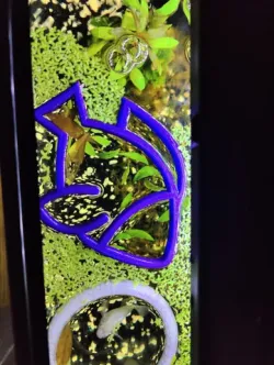 Aquarium Feeding Ring Fish