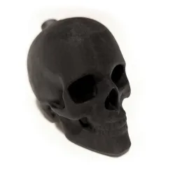 Aztec Death Whistle