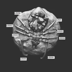 Crystal Spiders (pre-supported)
