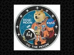 Dogecoin Motor Visualizers