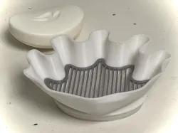 Giant Sea Shell - Soap Dish