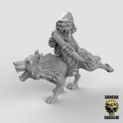 Goblin Wolf Riders with Bows (pre supported)