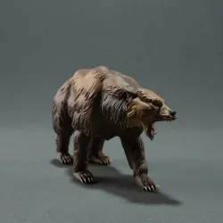 Grizzly Bear