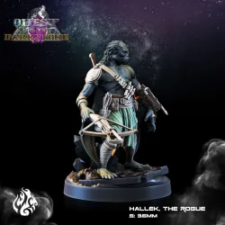 Hallek, the Rogue