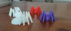 Halloween Spider