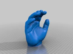 Hands