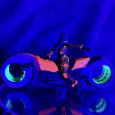 HANESHA RAE CYBER EDGE BIKER