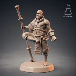 Human Monk