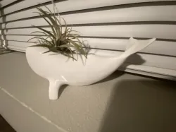 Moby Air Planter
