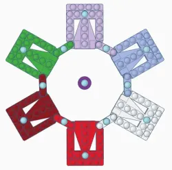 Modular Wahoo Board and Case
