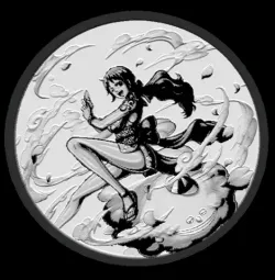 nami one piece coaster