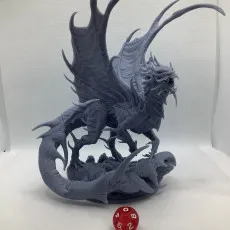Order Immortalis