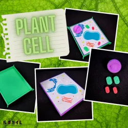 Plant Cell