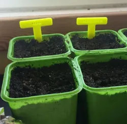 Planter signs, Small signs, Super when starting seeds indoor.