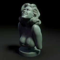 Practice Bust 3