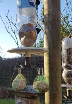 Roof for "Big Bird Bottle Feeder"