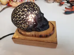 Skull Night Light