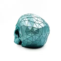 Skull Voronoi Low Poly