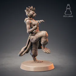 Tabaxi Monk