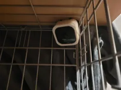 Tapo C100/TC60 Mount for Pet Crate