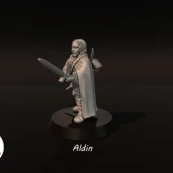 Aldin