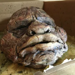 Angler Mask of Inscryption