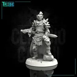 (Bundle) Elf barbarian squad