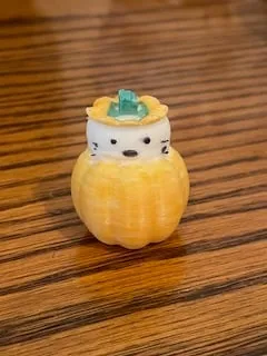 Cat in a Pumpkin