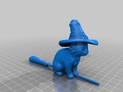 Cat Wearing a Hat On a Witches Broom