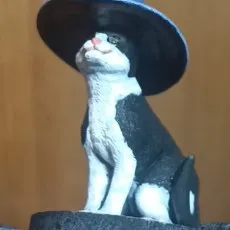 Cat with a Witch Hat
