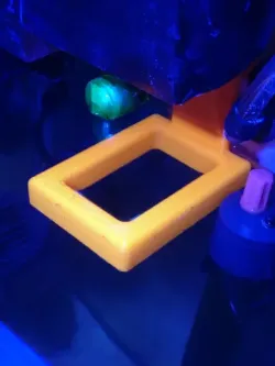 Fixed floating aquarium ring feeder - Anillo alimentación acuario fijo y flotante