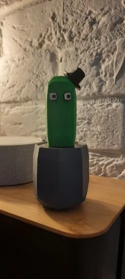 Funny cactus in hat