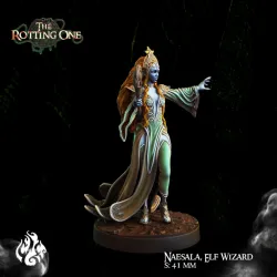 Naesala, Elf Wizard