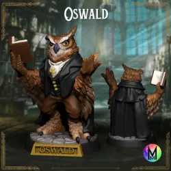 Owlkin of Grimmbridge - Owlkin Rogue, Owlkin Wizard, Owlkin Druid