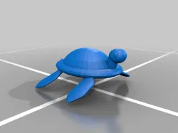 Sea Turtle