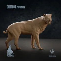Smilodon populator : The Saber-toothed Cat