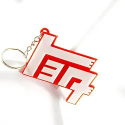 Toyota keychain