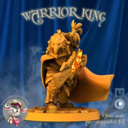 Warrior-King-warcraft-warrior-king-warrior