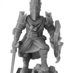 Amalric Paladin