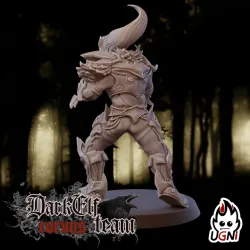 Blitzer #3 - Dark Elves Team