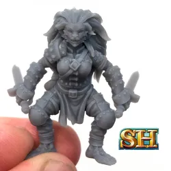 Bugbear Rogue