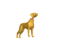Cute Dog Bobble
