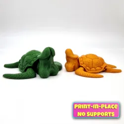 Dicky Turtle Articulated Print-In_Place